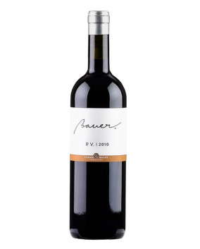 Bauer Petit Verdot 2019 | Crama Bauer | Dragasani